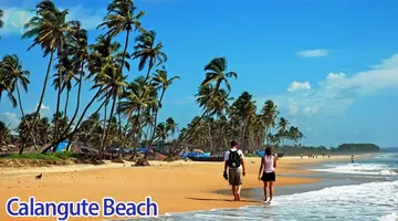 North Goa Darshan by Bus