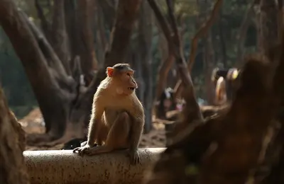 22 Best Places to Visit in Mumbai to Make the Most of your Trip