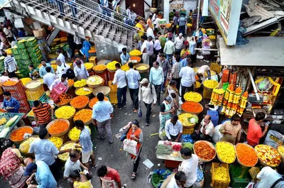 The Mumbai by Dawn Tour by Mumbai Dream Tours: A Captivating Journey through the City’s Morning Charms
